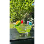 Murano Glass Green Bird Bath /Nest Bowl 5 Multicolor Removable Songbirds