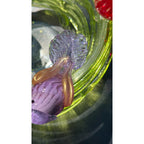 Murano Glass Green Bird Bath /Nest Bowl 5 Multicolor Removable Songbirds