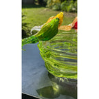 Murano Glass Green Bird Bath /Nest Bowl 5 Multicolor Removable Songbirds