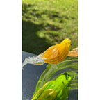 Murano Glass Green Bird Bath /Nest Bowl 5 Multicolor Removable Songbirds