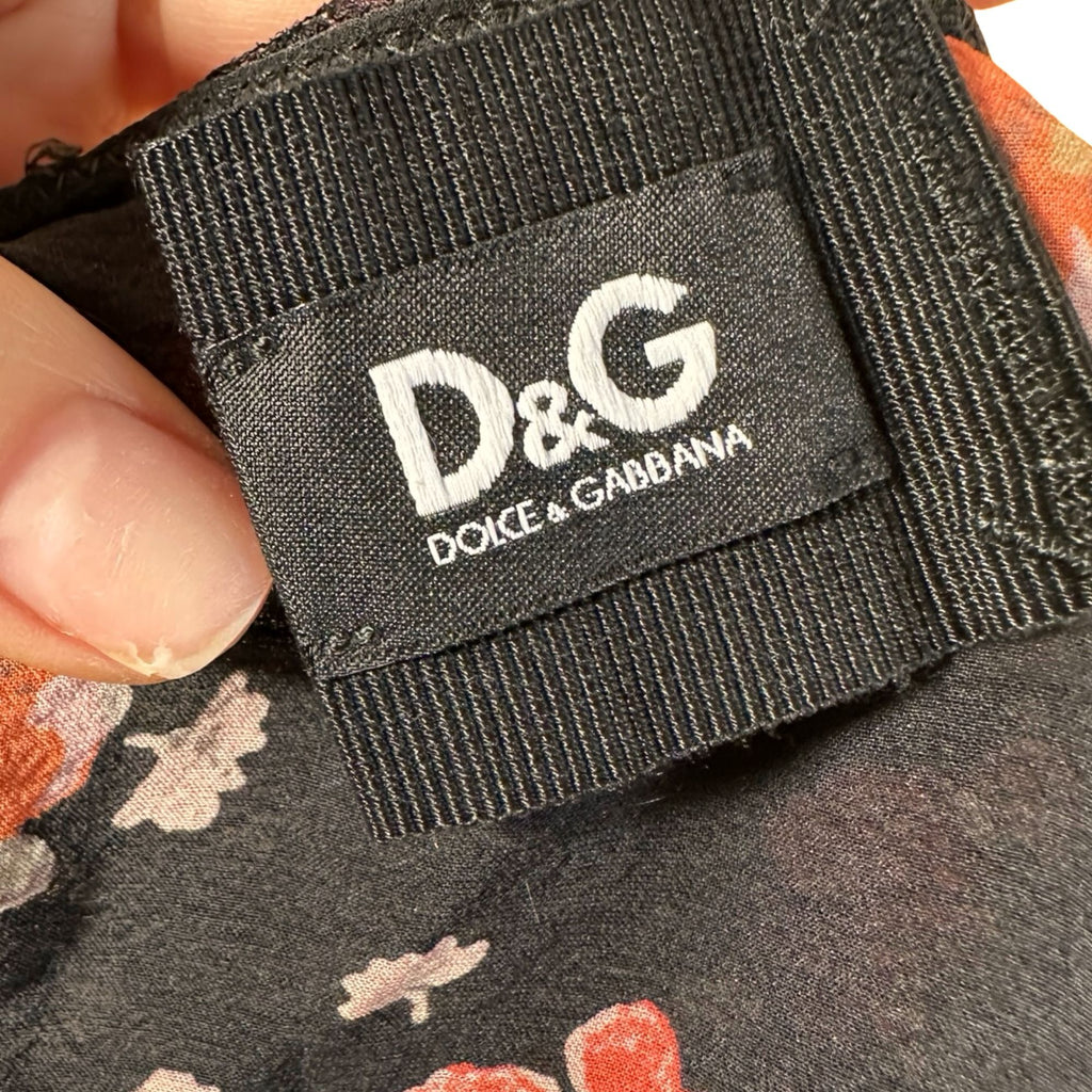 dg